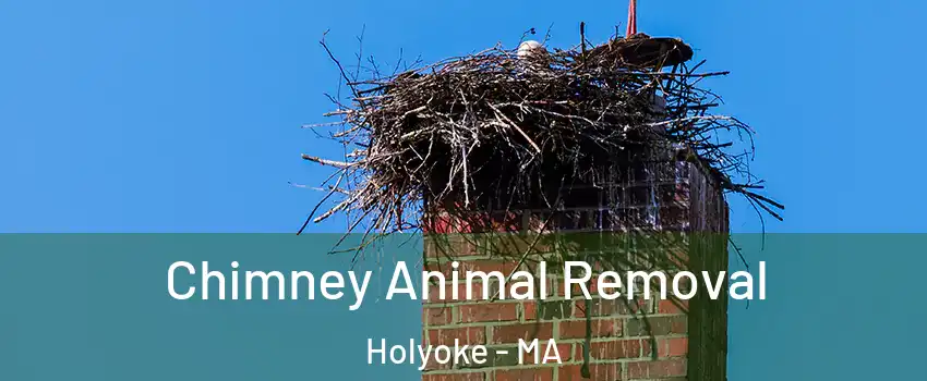 Chimney Animal Removal Holyoke - MA