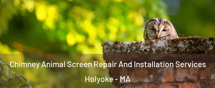  Chimney Animal Screen Repair And Installation Services Holyoke - MA