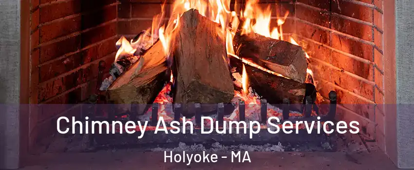  Chimney Ash Dump Services Holyoke - MA