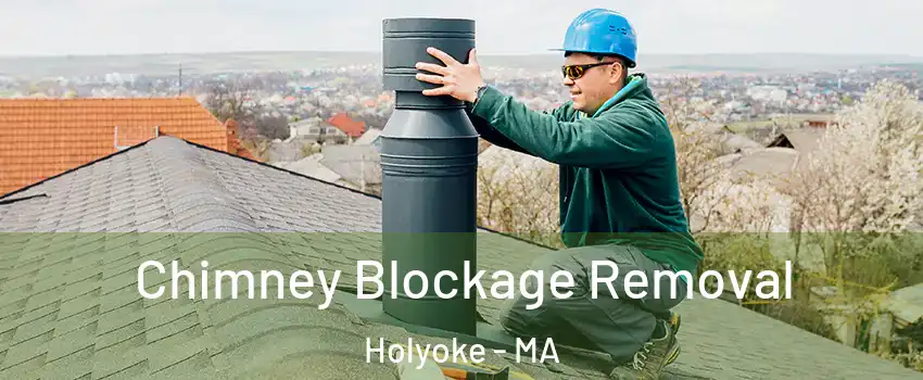  Chimney Blockage Removal Holyoke - MA