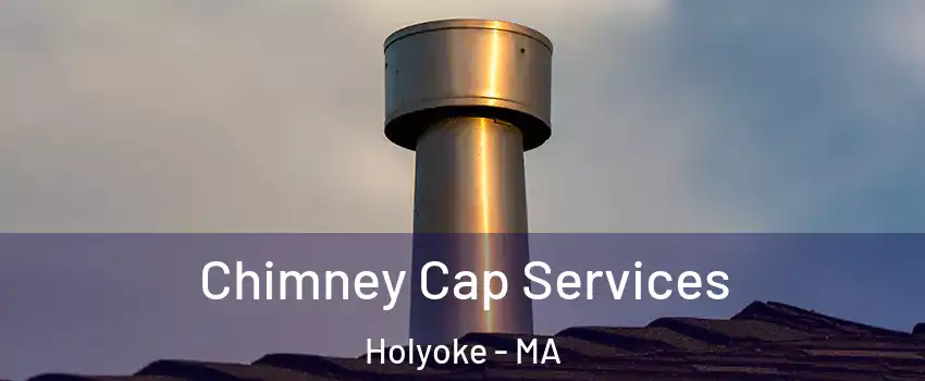  Chimney Cap Services Holyoke - MA