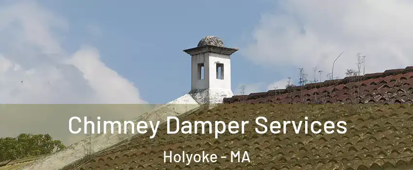  Chimney Damper Services Holyoke - MA