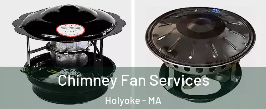  Chimney Fan Services Holyoke - MA