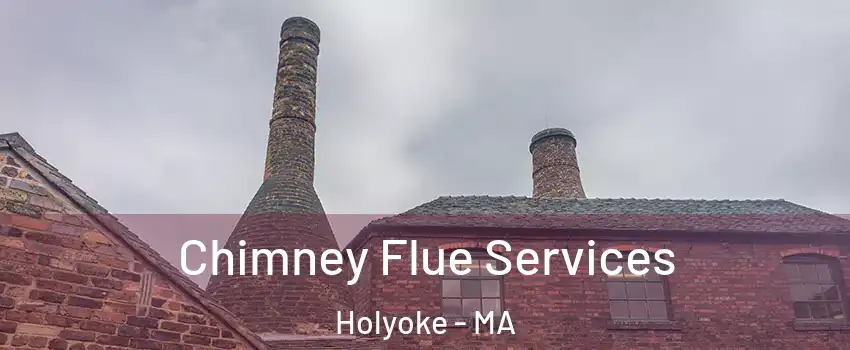  Chimney Flue Services Holyoke - MA