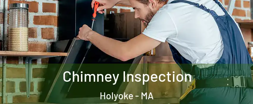  Chimney Inspection Holyoke - MA
