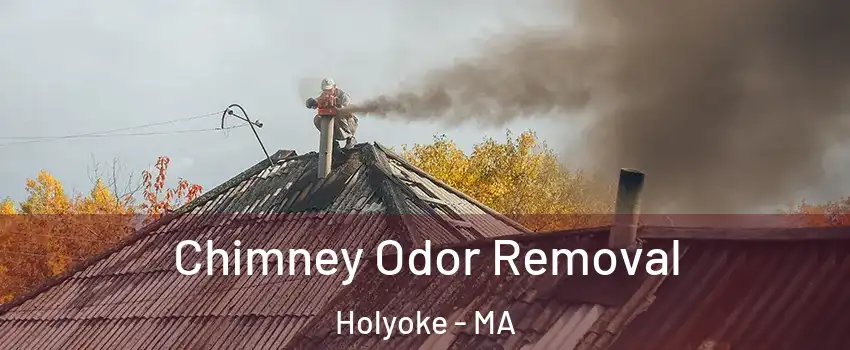  Chimney Odor Removal Holyoke - MA