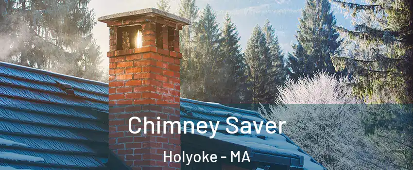 Chimney Saver Holyoke - MA