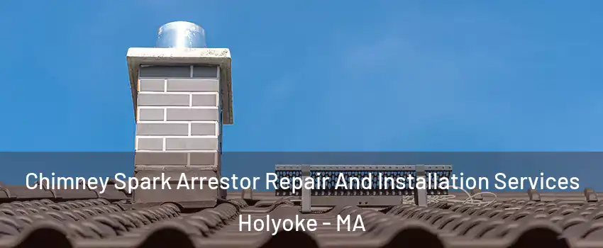  Chimney Spark Arrestor Repair And Installation Services Holyoke - MA