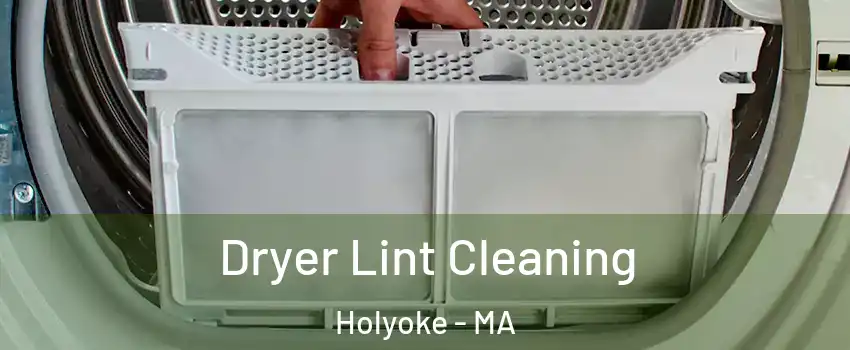 Dryer Lint Cleaning Holyoke - MA