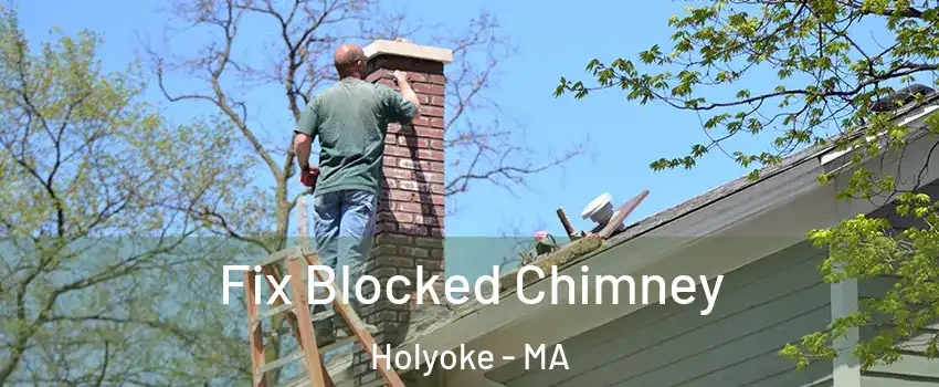  Fix Blocked Chimney Holyoke - MA
