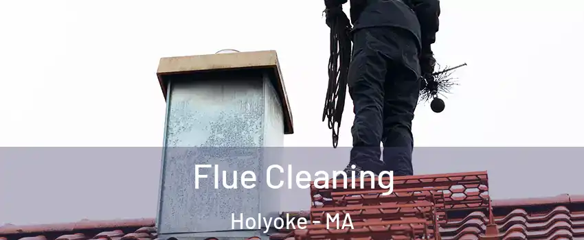  Flue Cleaning Holyoke - MA