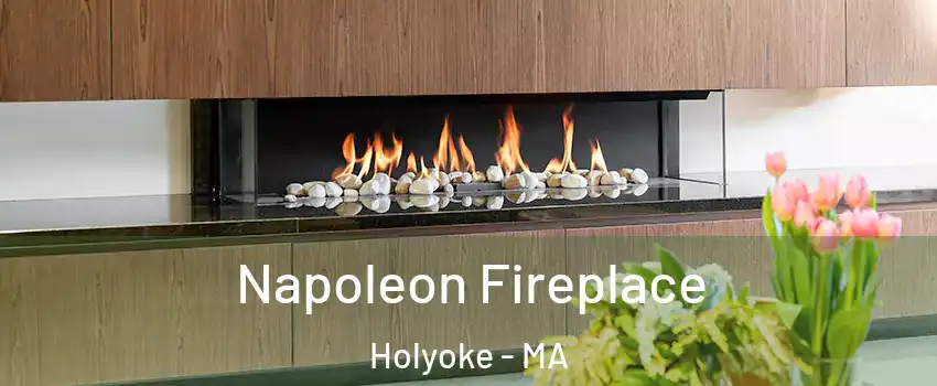  Napoleon Fireplace Holyoke - MA